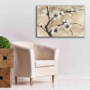 'Spring Blossoms IV' by Chris Paschke, Canvas Wall Art,40 x 26