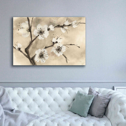 Image of 'Spring Blossoms IV' by Chris Paschke, Canvas Wall Art,60 x 40