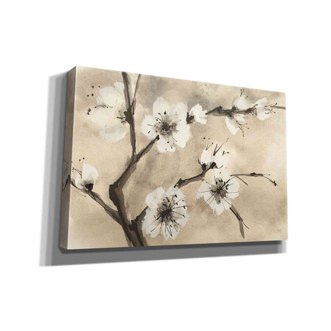 Image of 'Spring Blossoms IV' by Chris Paschke, Canvas Wall Art