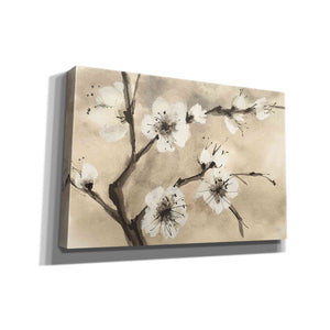 'Spring Blossoms IV' by Chris Paschke, Canvas Wall Art