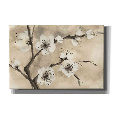 Image of 'Spring Blossoms IV' by Chris Paschke, Canvas Wall Art