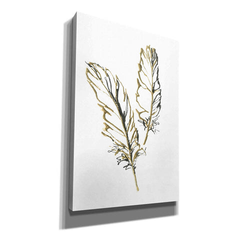 Image of 'Gilded Barn Owl Feather' by Chris Paschke, Canvas Wall Art