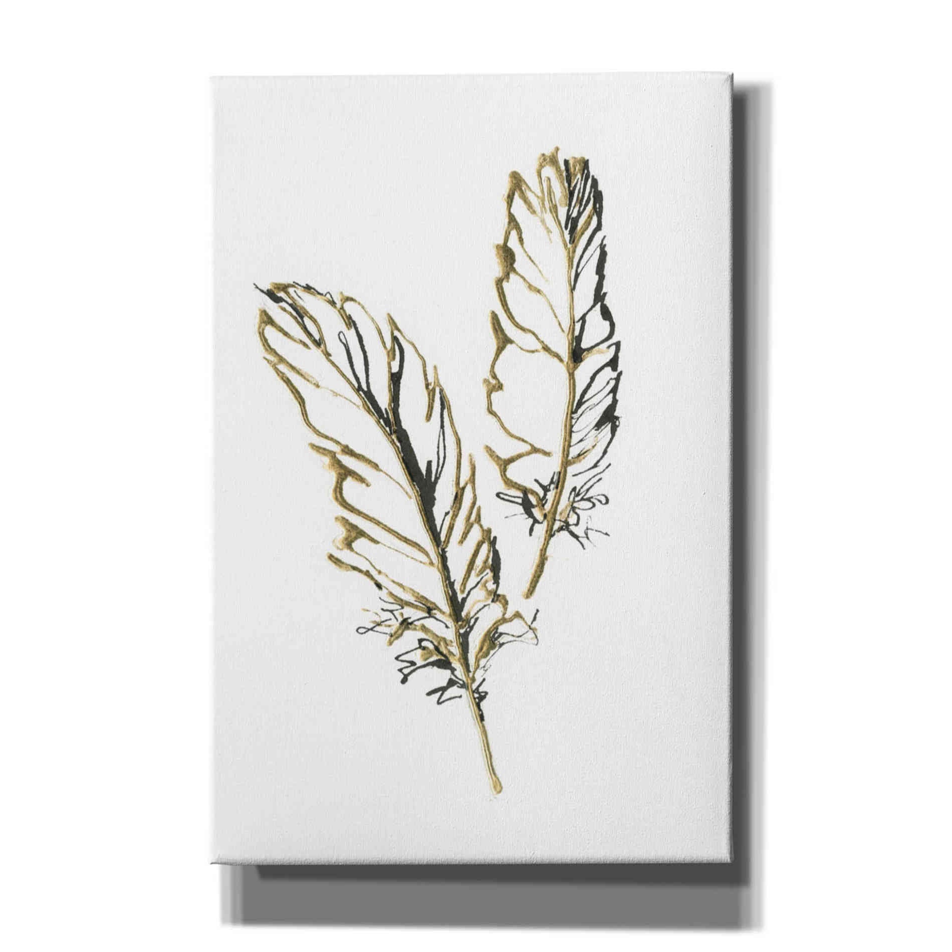 'Gilded Barn Owl Feather' by Chris Paschke, Canvas Wall Art