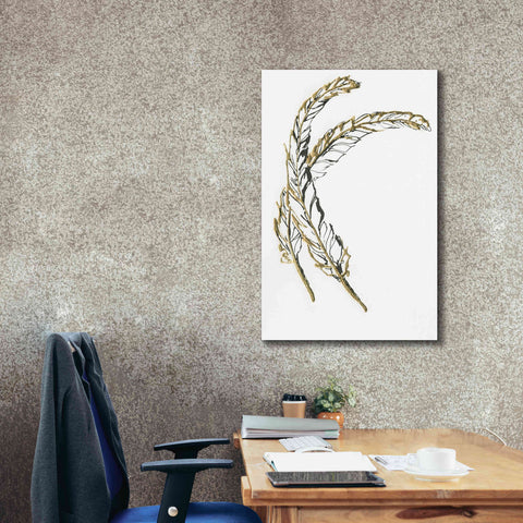 Image of 'Gilded Hackles Feather' by Chris Paschke, Canvas Wall Art,26 x 40