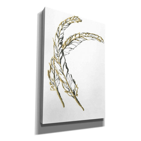 Image of 'Gilded Hackles Feather' by Chris Paschke, Canvas Wall Art