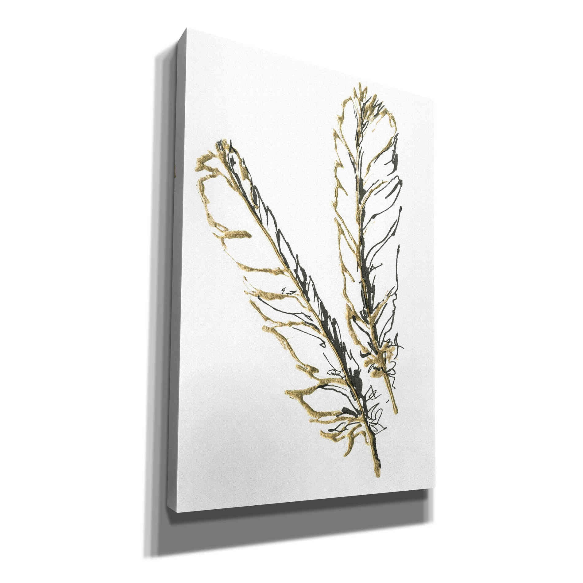 'Gilded Red Tailed Hawk Feather' by Chris Paschke, Canvas Wall Art