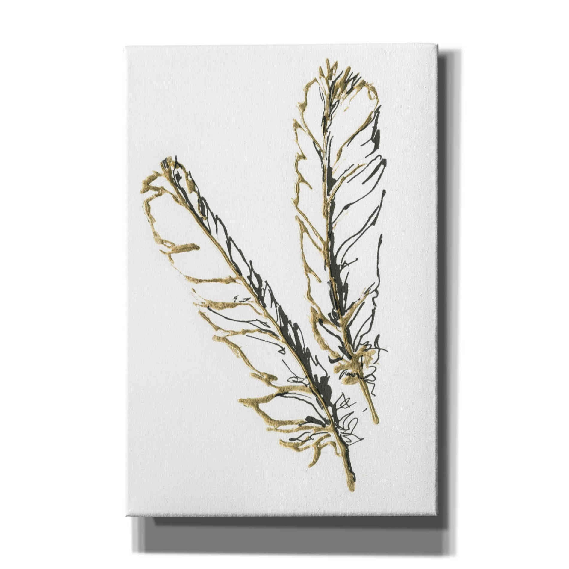 'Gilded Red Tailed Hawk Feather' by Chris Paschke, Canvas Wall Art