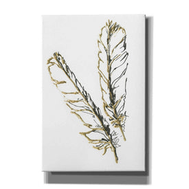 'Gilded Red Tailed Hawk Feather' by Chris Paschke, Canvas Wall Art