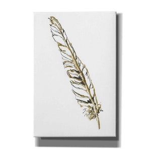 'Gilded Swan Feather I' by Chris Paschke, Canvas Wall Art