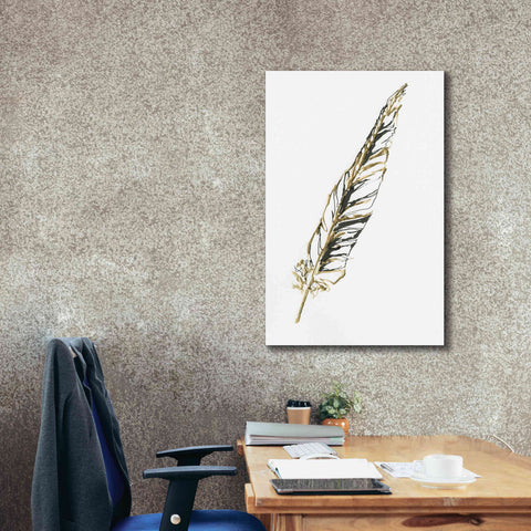 Image of 'Gilded Swan Feather II' by Chris Paschke, Canvas Wall Art,26 x 40