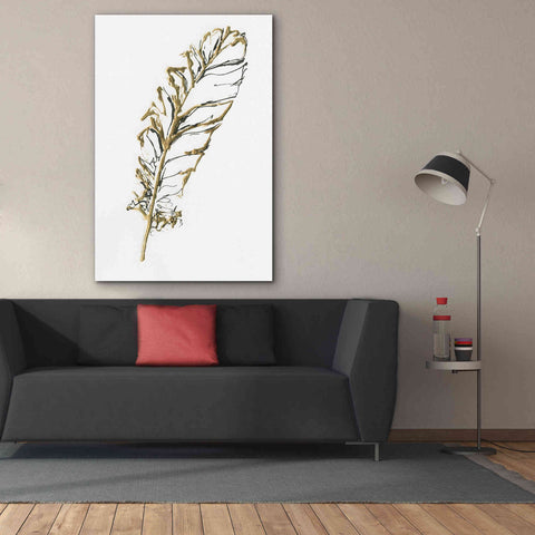 Image of 'Gilded Turkey Feather I' by Chris Paschke, Canvas Wall Art,40 x 60