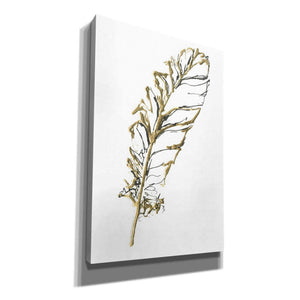 'Gilded Turkey Feather I' by Chris Paschke, Canvas Wall Art