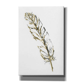 'Gilded Turkey Feather II' by Chris Paschke, Canvas Wall Art