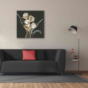 'Gilded Tulips' by Chris Paschke, Canvas Wall Art,37 x 37