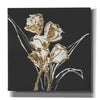'Gilded Tulips' by Chris Paschke, Canvas Wall Art