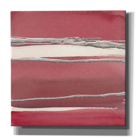 'Silver Rose II' by Chris Paschke, Canvas Wall Art