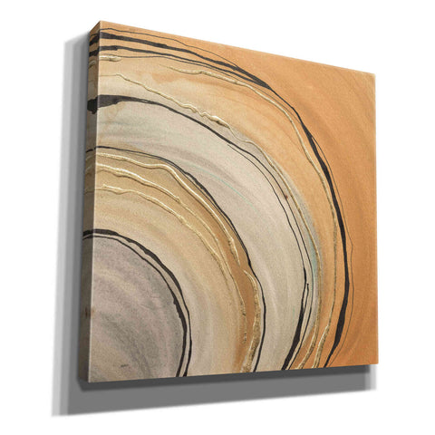 Image of 'Gilded Rings' by Chris Paschke, Canvas Wall Art