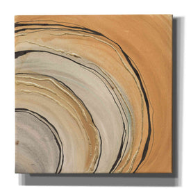 'Gilded Rings' by Chris Paschke, Canvas Wall Art