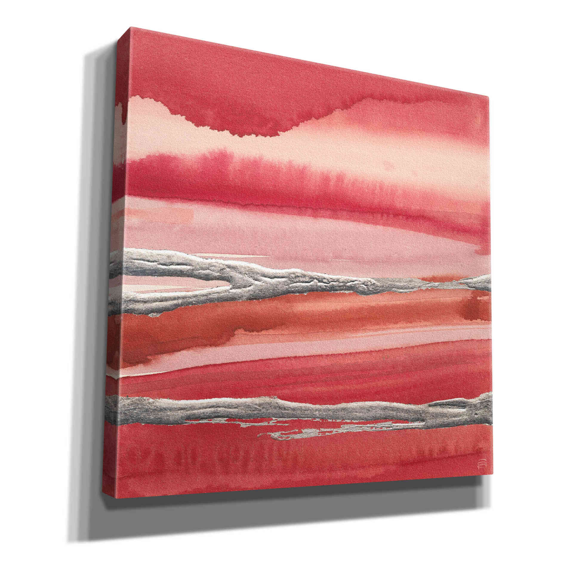 'Silver Marsh' by Chris Paschke, Canvas Wall Art