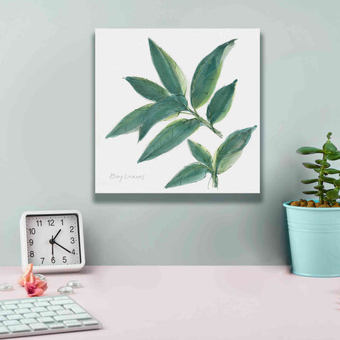 Image of 'Bay Leaf' by Chris Paschke, Canvas Wall Art,12 x 12