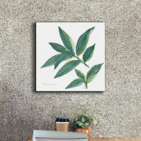 Image of 'Bay Leaf' by Chris Paschke, Canvas Wall Art,18 x 18