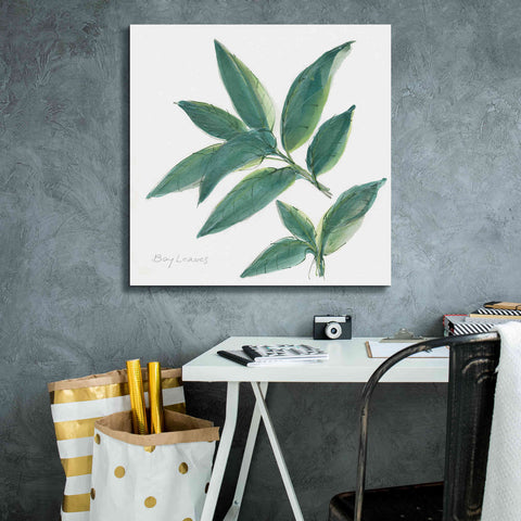 Image of 'Bay Leaf' by Chris Paschke, Canvas Wall Art,26 x 26