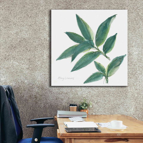 Image of 'Bay Leaf' by Chris Paschke, Canvas Wall Art,37 x 37
