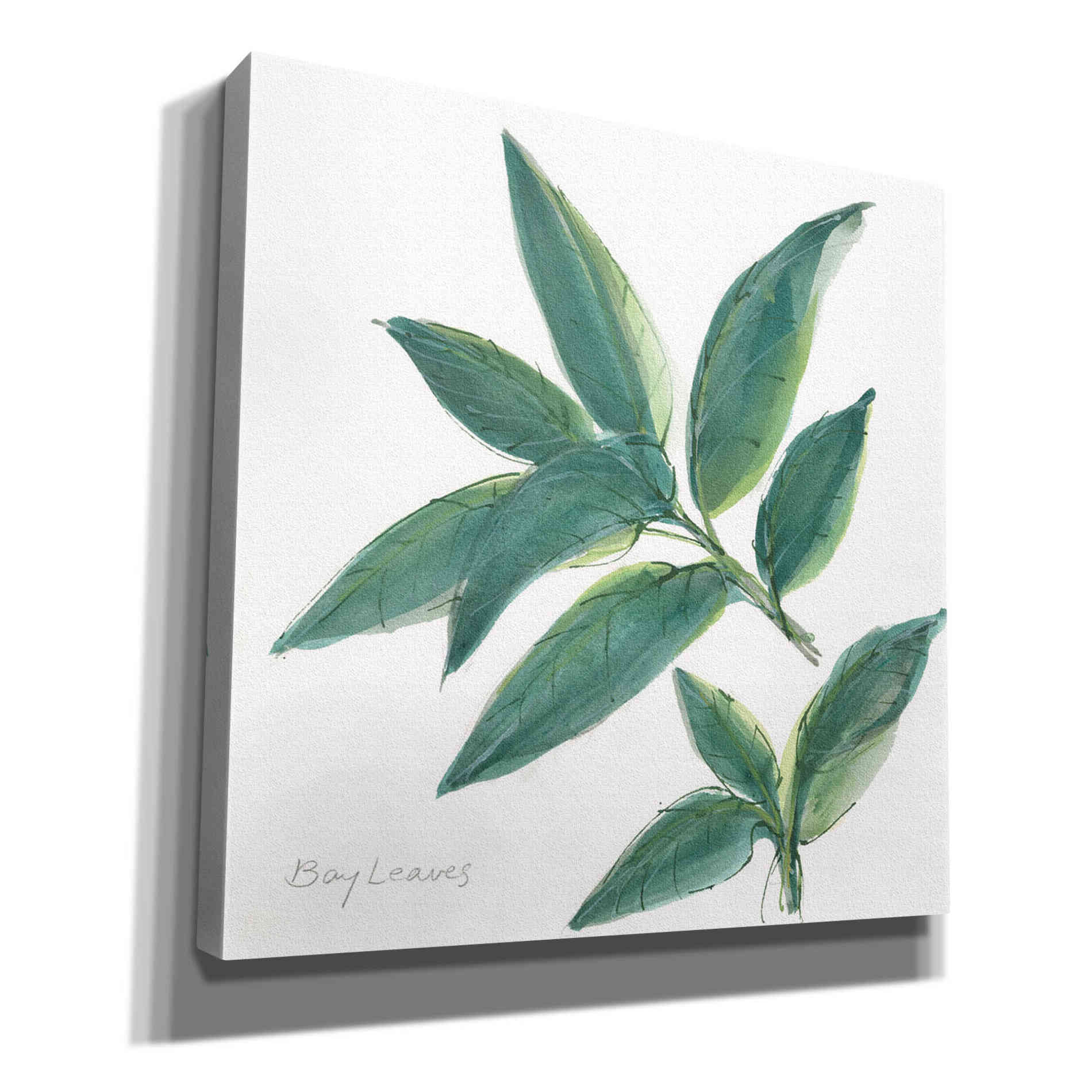 'Bay Leaf' by Chris Paschke, Canvas Wall Art