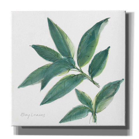 Image of 'Bay Leaf' by Chris Paschke, Canvas Wall Art