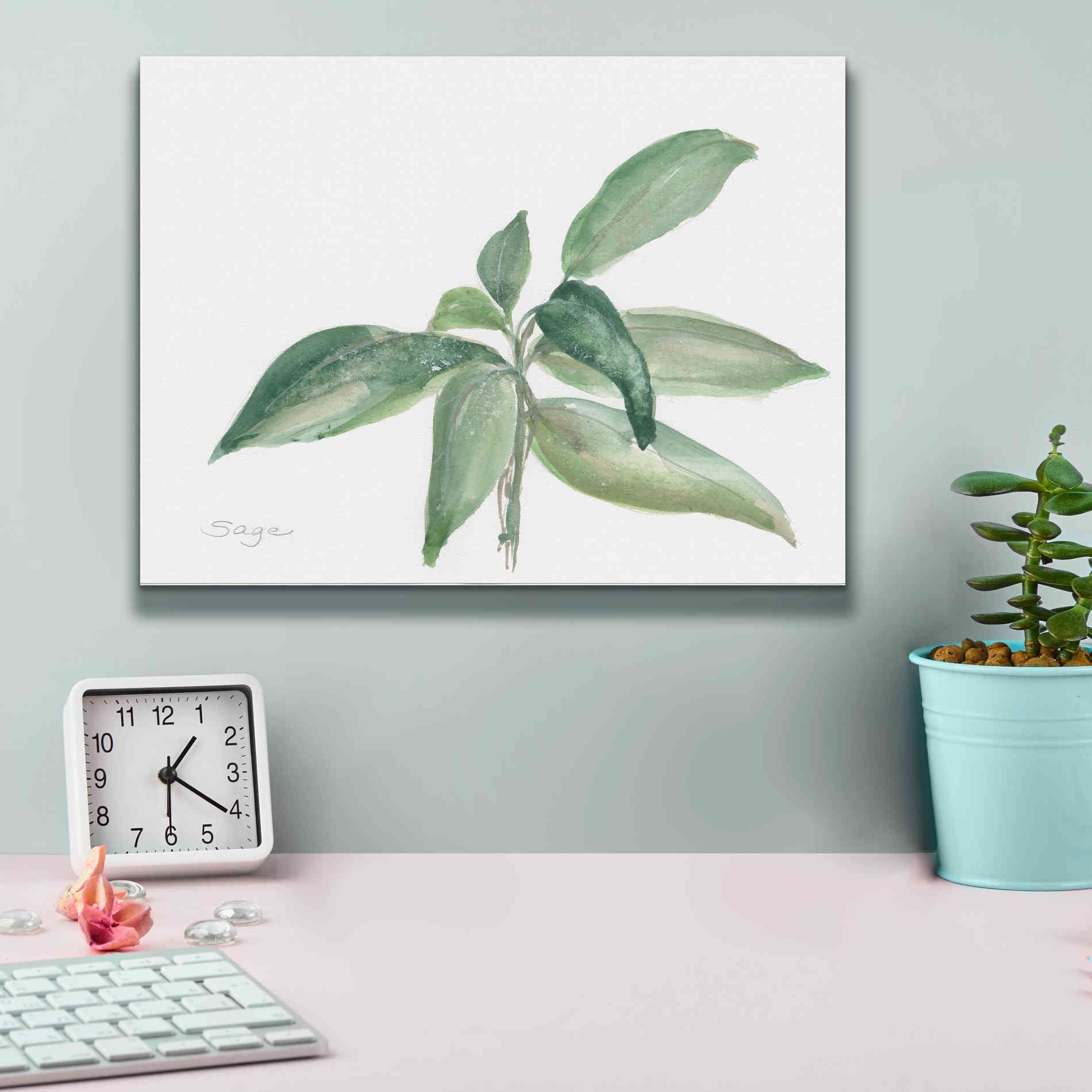 'Sage I' by Chris Paschke, Canvas Wall Art,16 x 12