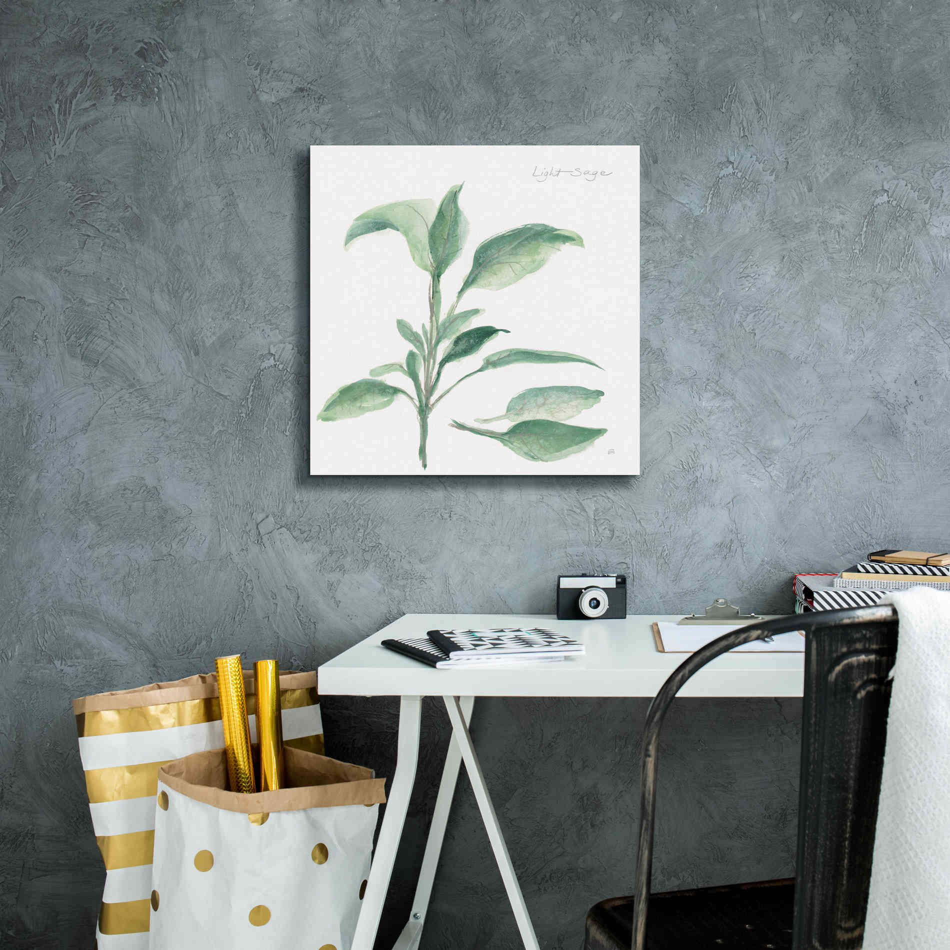 'Sage II' by Chris Paschke, Canvas Wall Art,18 x 18