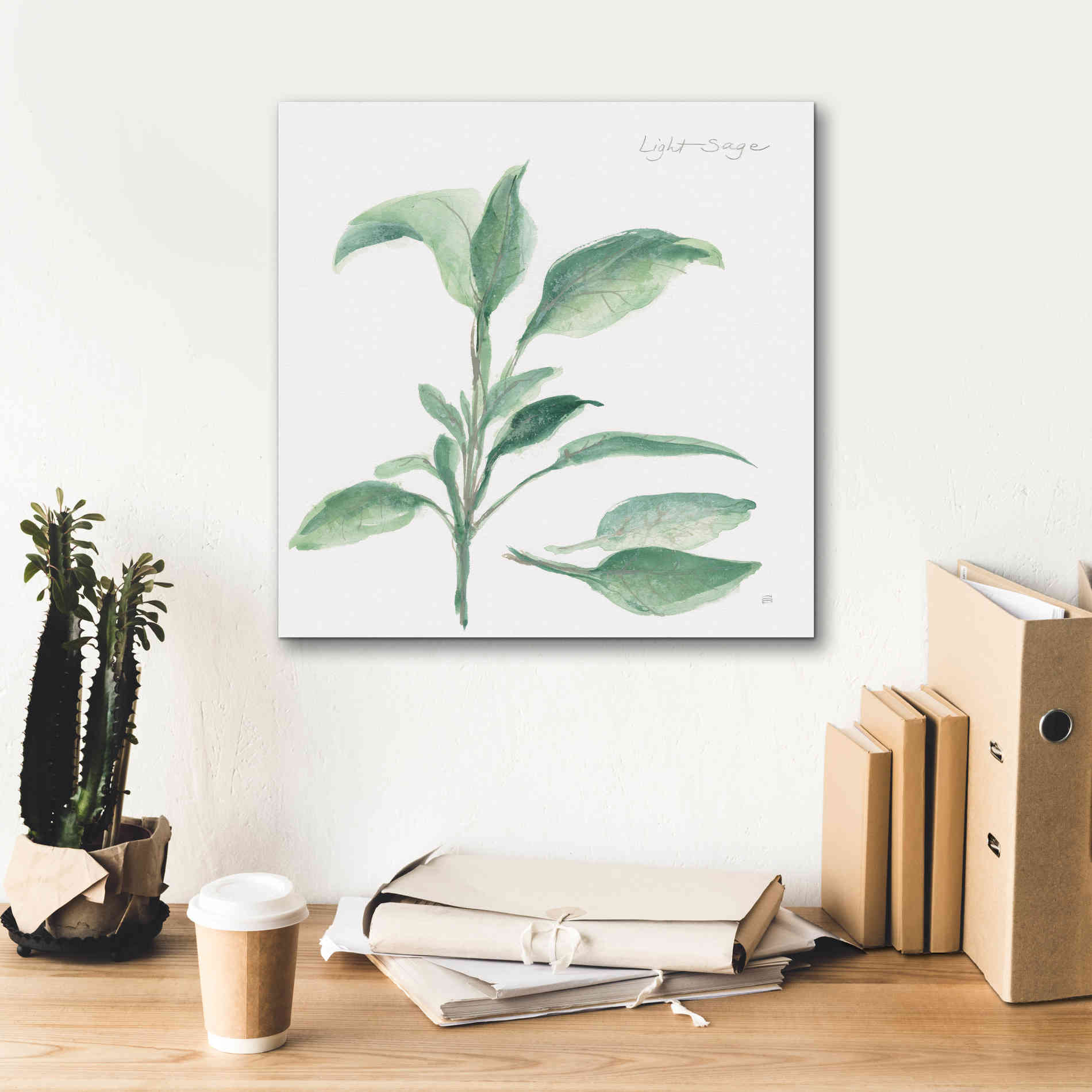 'Sage II' by Chris Paschke, Canvas Wall Art,18 x 18