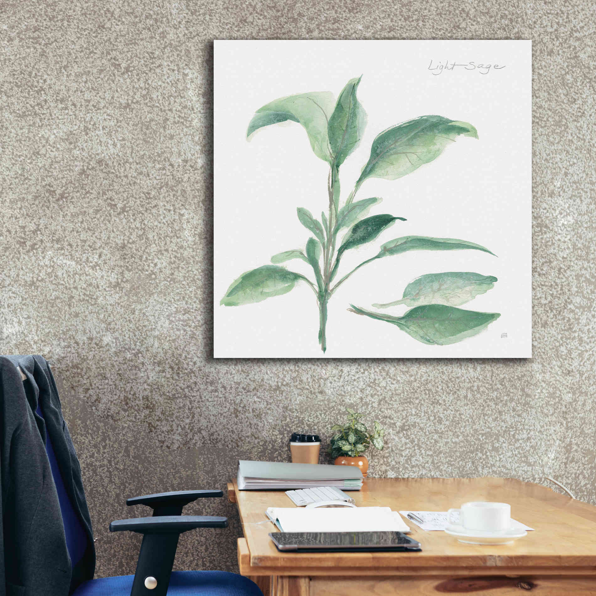 'Sage II' by Chris Paschke, Canvas Wall Art,37 x 37