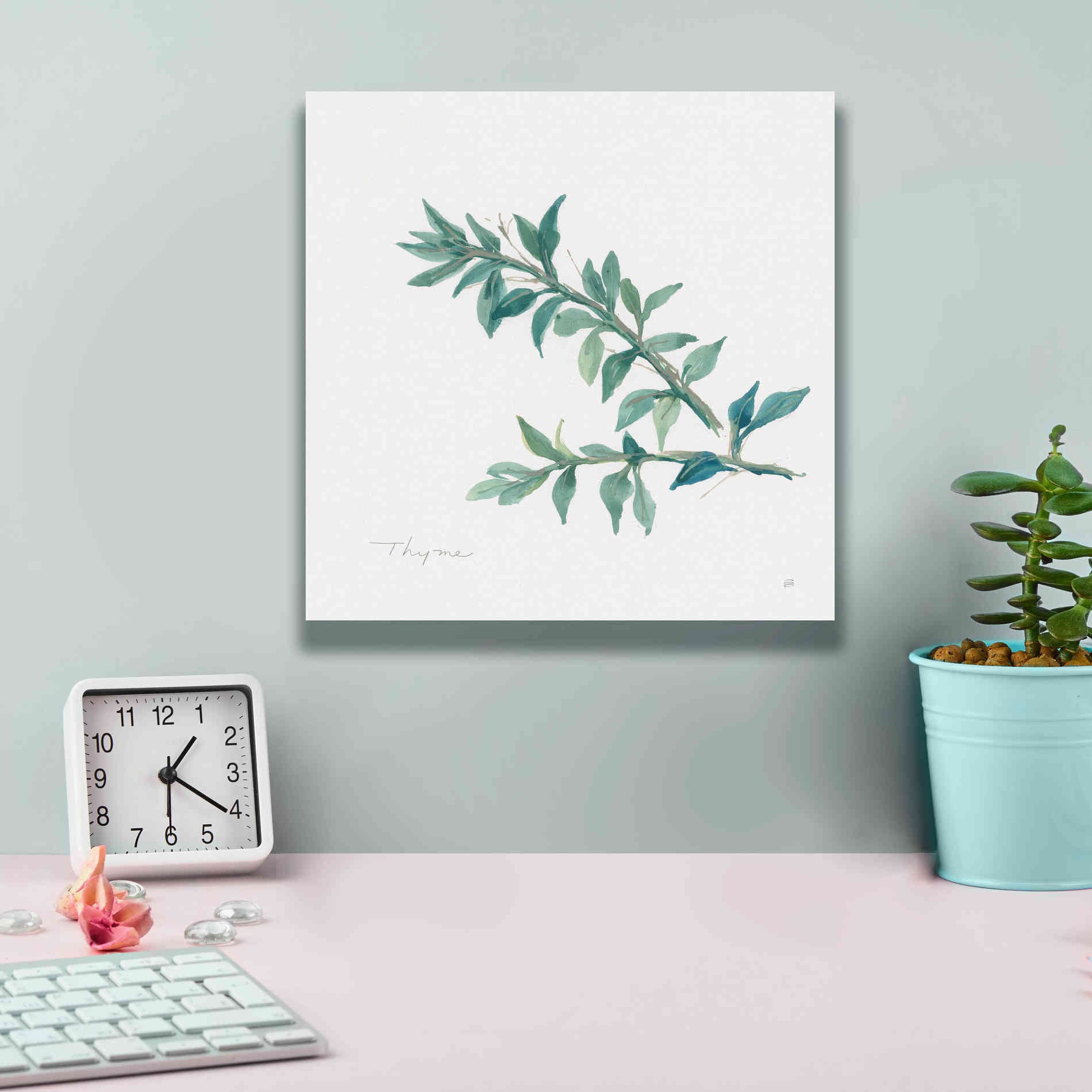 'Thyme' by Chris Paschke, Canvas Wall Art,12 x 12