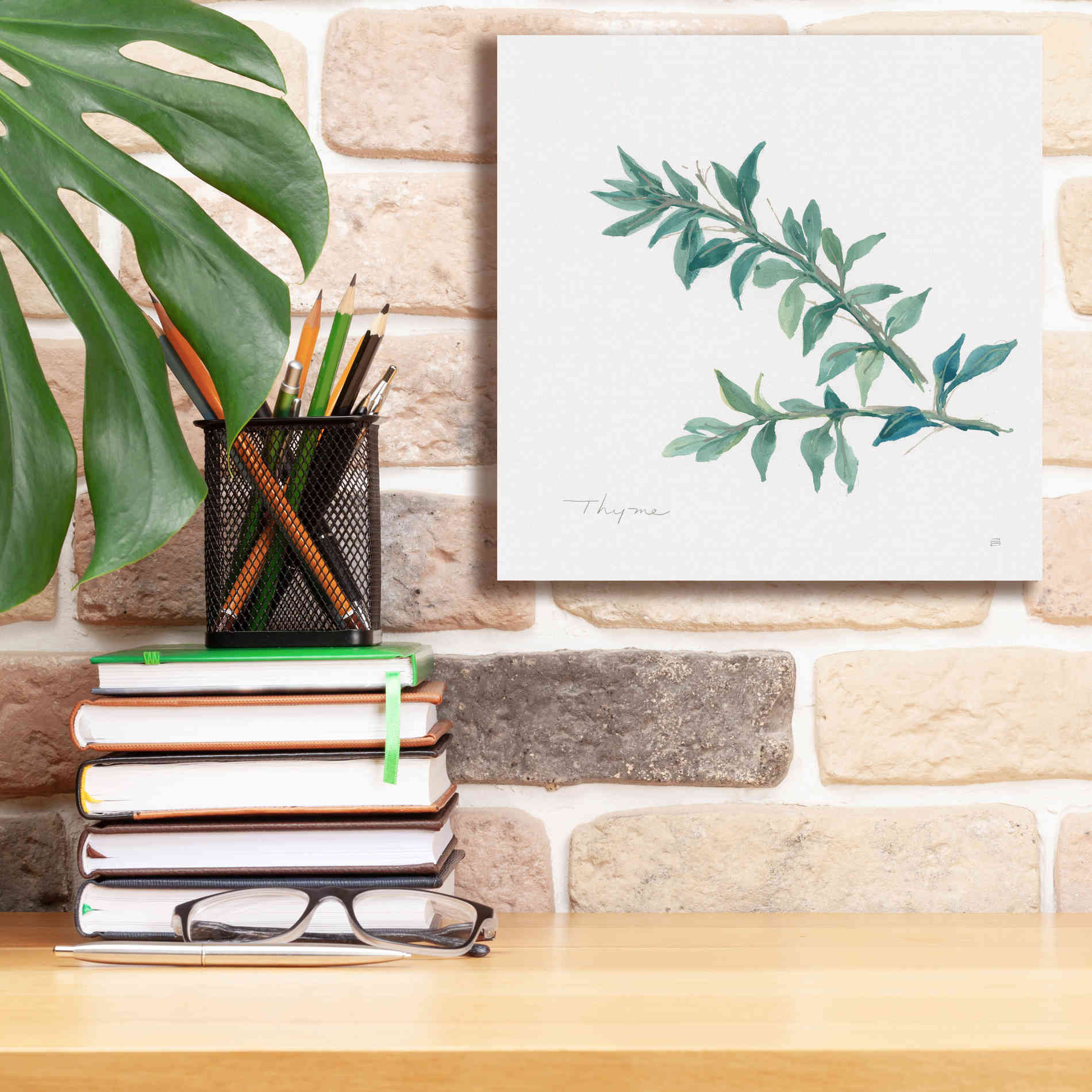 'Thyme' by Chris Paschke, Canvas Wall Art,12 x 12