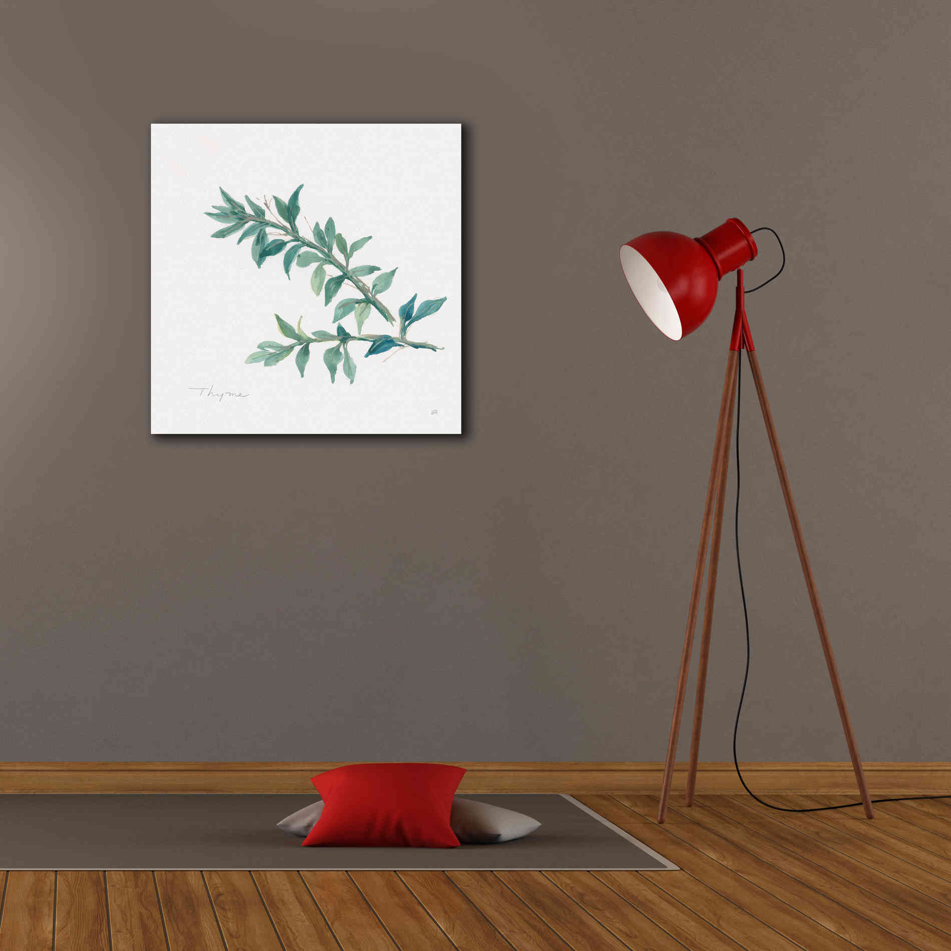 'Thyme' by Chris Paschke, Canvas Wall Art,26 x 26