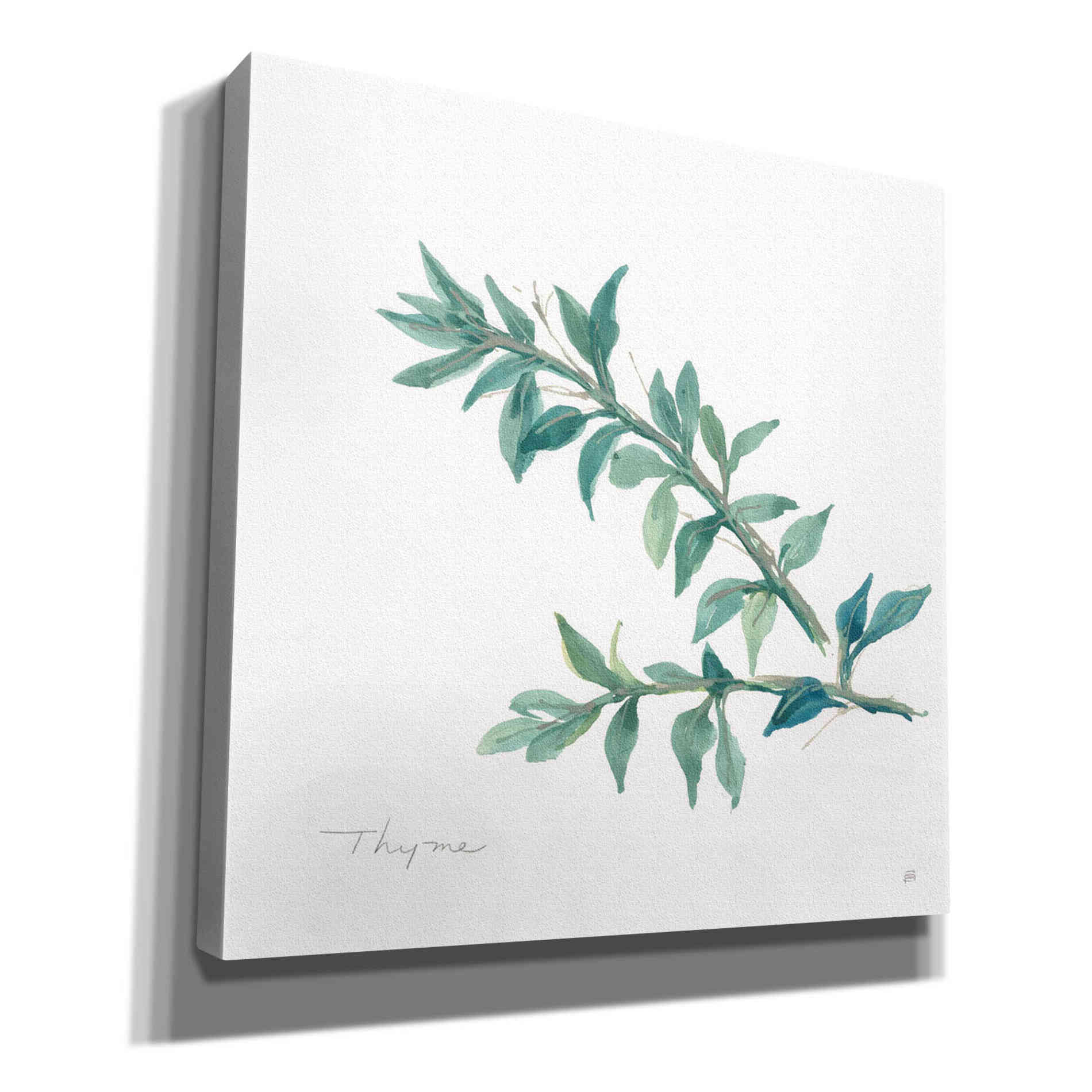 'Thyme' by Chris Paschke, Canvas Wall Art