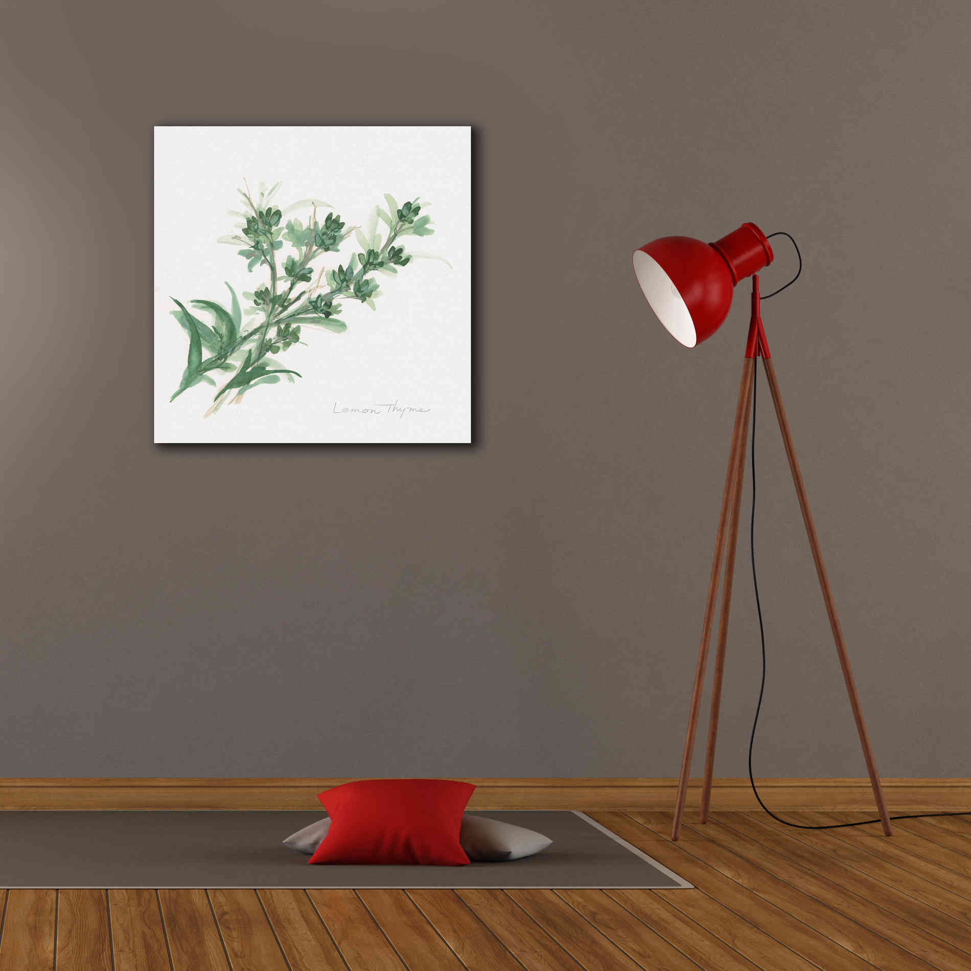 'Lemon Thyme' by Chris Paschke, Canvas Wall Art,26 x 26