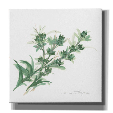 Image of 'Lemon Thyme' by Chris Paschke, Canvas Wall Art