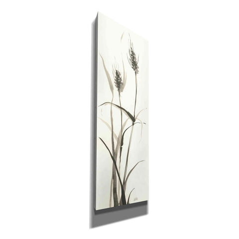 Image of 'Wild Grass I' by Chris Paschke, Canvas Wall Art
