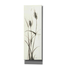 'Wild Grass I' by Chris Paschke, Canvas Wall Art