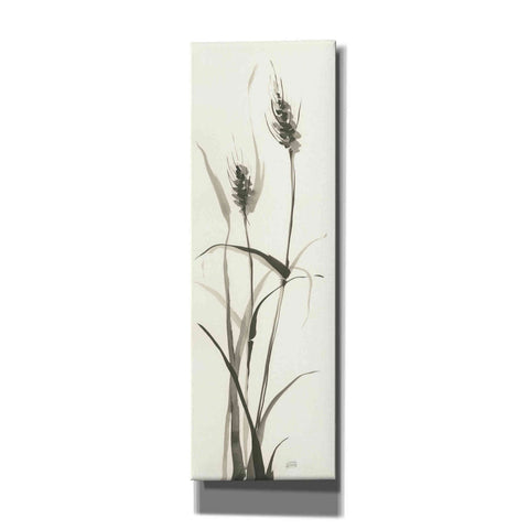 Image of 'Wild Grass I' by Chris Paschke, Canvas Wall Art