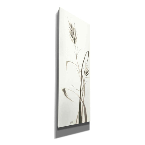 Image of 'Wild Grass II' by Chris Paschke, Canvas Wall Art