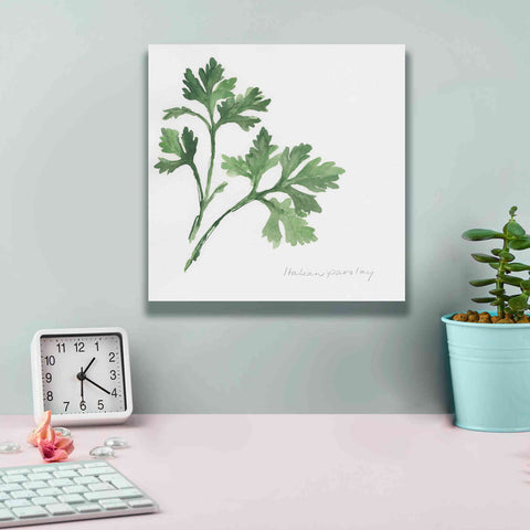 Image of 'Italian Parsley' by Chris Paschke, Canvas Wall Art,12 x 12