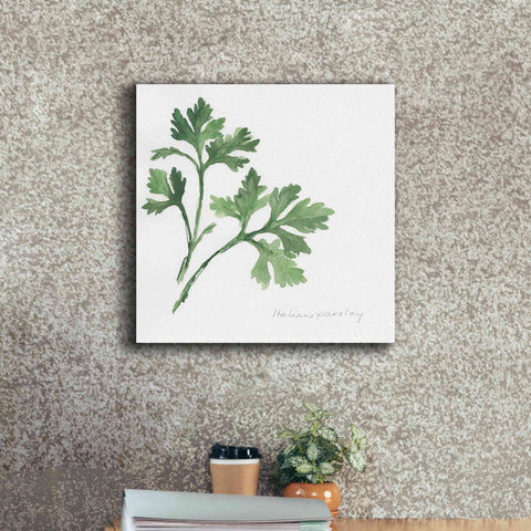 Image of 'Italian Parsley' by Chris Paschke, Canvas Wall Art,18 x 18
