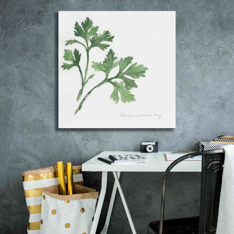 Image of 'Italian Parsley' by Chris Paschke, Canvas Wall Art,26 x 26