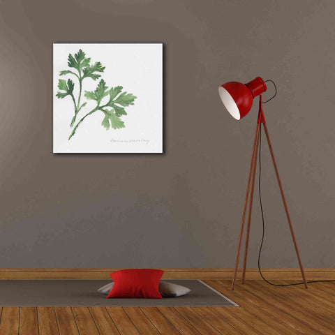 Image of 'Italian Parsley' by Chris Paschke, Canvas Wall Art,26 x 26