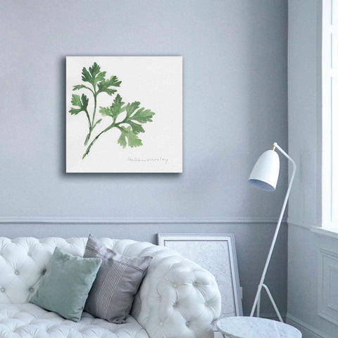 Image of 'Italian Parsley' by Chris Paschke, Canvas Wall Art,37 x 37