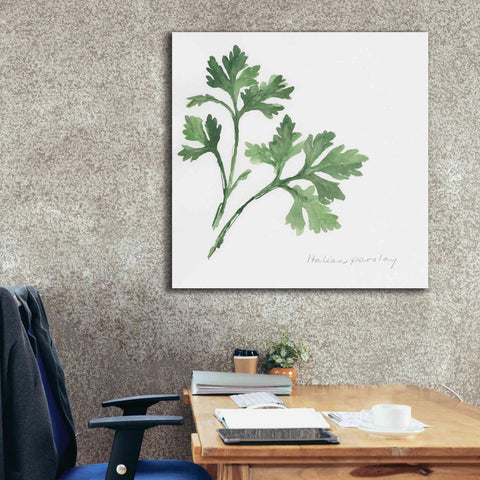 Image of 'Italian Parsley' by Chris Paschke, Canvas Wall Art,37 x 37