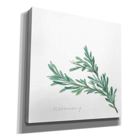 Image of 'Rosemary' by Chris Paschke, Canvas Wall Art